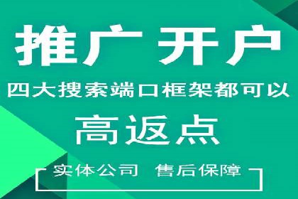 SEM公司广告策略案例：如何实现ROI最大化